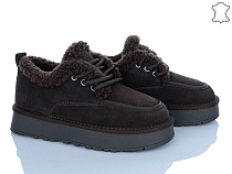 Туфли Plps-Nanachka 2631 brown в магазине Фонтан Обуви