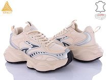 Кроссовки Stilli Group CX1620-5 шкіра піна в магазине Фонтан Обуви