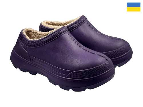 Галоши Rai Shoes BM35 фіолетовий в магазине Фонтан Обуви