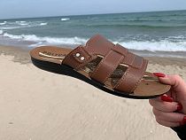 Шлепанцы Malibu MKD3 camel в магазине Фонтан Обуви