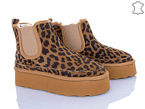 Угги Мир 4224-5854-12 camel в магазине Фонтан Обуви