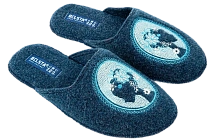 Тапочки Белста V1087-17 №1625 VN550 C364 в магазине Фонтан Обуви