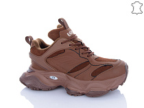 Кроссовки Trasta WDP1898-33 в магазине Фонтан Обуви