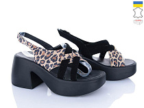 Viscala2 23509LP чор-спил-велюр в магазине Фонтан Обуви