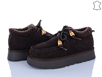 Туфли Plps-Nanachka 2640 brown в магазине Фонтан Обуви