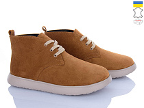 Ботинки A.N.I.One 7001-79 tabo коричневий замш в магазине Фонтан Обуви