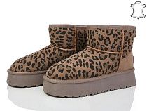 Угги Бабочка 5825-46 в магазине Фонтан Обуви