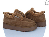 Туфли Plps-Nanachka 2631 caramel в магазине Фонтан Обуви