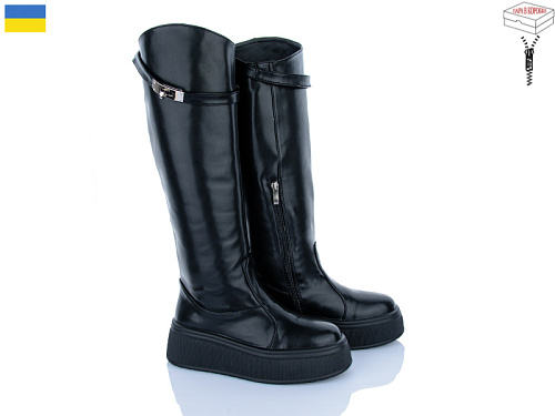 Сапоги Ailinda 006-2МД єврозима в магазине Фонтан Обуви