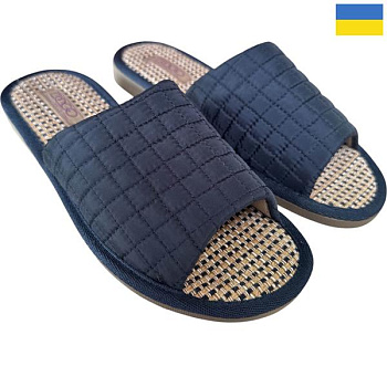 Тапочки Rai Shoes TC03 синій в магазине Фонтан Обуви