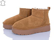 PL PS2 A3302 camel в магазине Фонтан Обуви