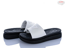 Шлепанцы Dageni 1026-2 в магазине Фонтан Обуви