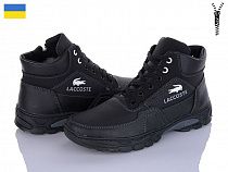 Ботинки Paolla Б34L чорний в магазине Фонтан Обуви