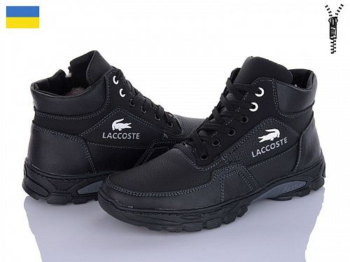 Ботинки Paolla Б34L чорний в магазине Фонтан Обуви