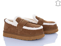 ITTS2 Q2578-45 в магазине Фонтан Обуви