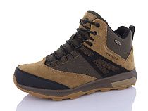 Кроссовки Restime EMZ24361 brown в магазине Фонтан Обуви