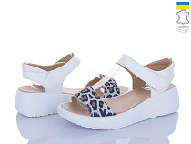 Viscala2 23201LP-250 шк.біл-велюр-лео в магазине Фонтан Обуви