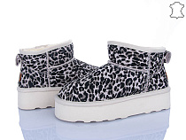 Угги Мир 4224-5853 shell в магазине Фонтан Обуви