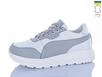 Кроссовки Cinar 2073-5 в магазине Фонтан Обуви