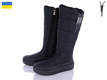 Сапоги Paolla 239 чорний в магазине Фонтан Обуви