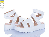 Ailinda2 316-8 в магазине Фонтан Обуви