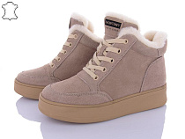 ITTS2 V266C в магазине Фонтан Обуви