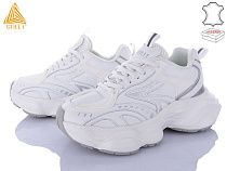 Кроссовки Stilli Group CX1620-2 шкіра піна в магазине Фонтан Обуви