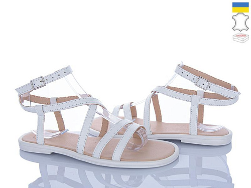 Ailinda2 343-8A в магазине Фонтан Обуви