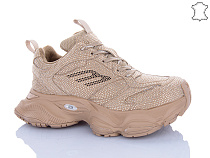 Кроссовки Trasta WDP1905-3 в магазине Фонтан Обуви