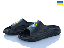 Шлепанцы Golden Lion 1001 герб чорний в магазине Фонтан Обуви