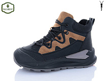 Ботинки Paliament C1637-5 в магазине Фонтан Обуви