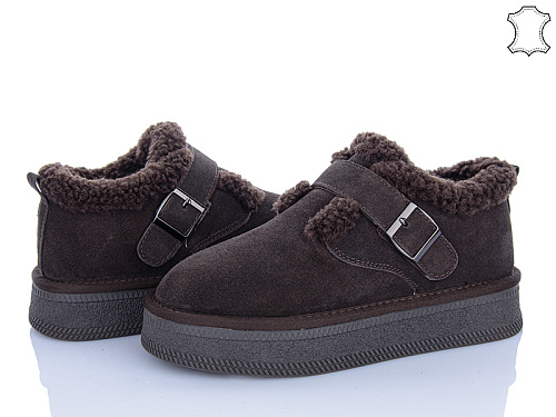 Туфли Plps-Nanachka GF2650 brown в магазине Фонтан Обуви