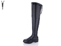 Ботфорты Qq Shoes SL9486 в магазине Фонтан Обуви