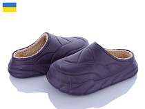 Галоши Golden Lion 101 бордовий в магазине Фонтан Обуви