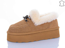 PL PS2 5808 camel в магазине Фонтан Обуви