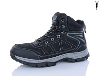 Ботинки Dafuyuan A2632-1 в магазине Фонтан Обуви