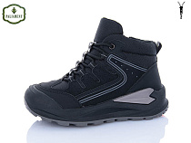 Ботинки Paliament C1631 в магазине Фонтан Обуви