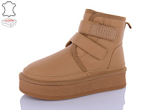 Угги Qq Shoes T50-2 в магазине Фонтан Обуви