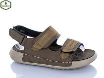 Босоножки Paliament B15 green в магазине Фонтан Обуви