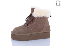 PL PS2 5856 brown в магазине Фонтан Обуви