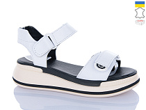 Босоножки Леопард 205-6 в магазине Фонтан Обуви