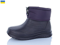 Сапоги Inblu D390DF фіолетовий в магазине Фонтан Обуви