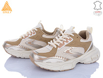 Кроссовки Stilli Group V160-3 шкіра піна в магазине Фонтан Обуви