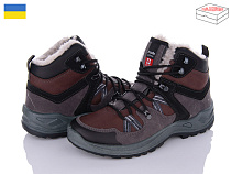 Ботинки Paolla 357 коричневий в магазине Фонтан Обуви