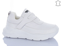 Кроссовки Aba Y798-8 в магазине Фонтан Обуви