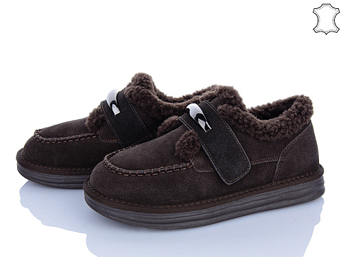 Туфли Plps-Nanachka GF2658 brown в магазине Фонтан Обуви