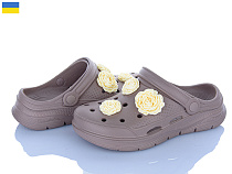 Кроксы Golden Lion 411 капучино в магазине Фонтан Обуви