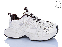 Кроссовки Trasta WDP1890-26 в магазине Фонтан Обуви