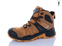 Ботинки Dafuyuan A2633-19 в магазине Фонтан Обуви