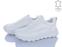 Кроссовки Stilli Group XG50-1 шкіра в магазине Фонтан Обуви